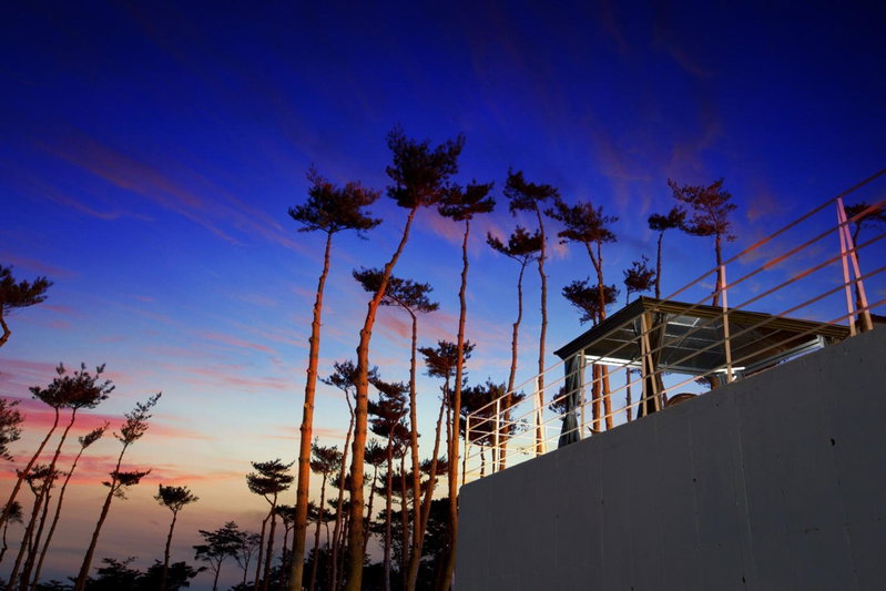 The Mare Pool Villa Pension, Taean, South Korea