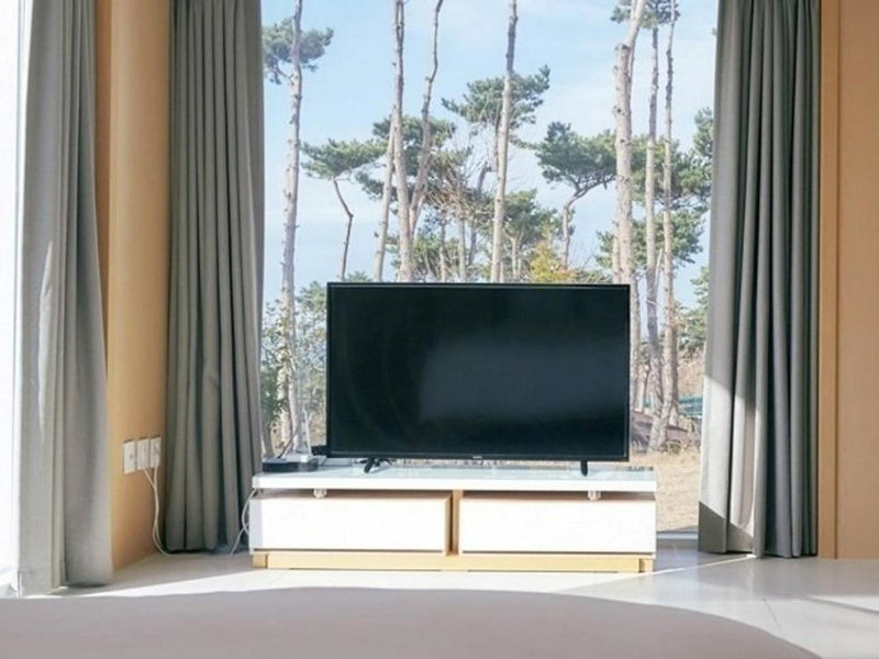 The Mare Pool Villa Pension, Taean, South Korea