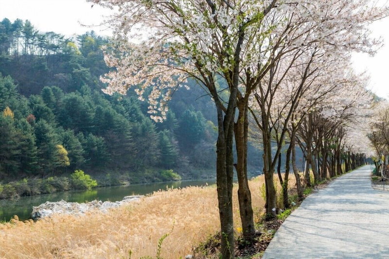 Mare Pension, Gapyeong, South Korea