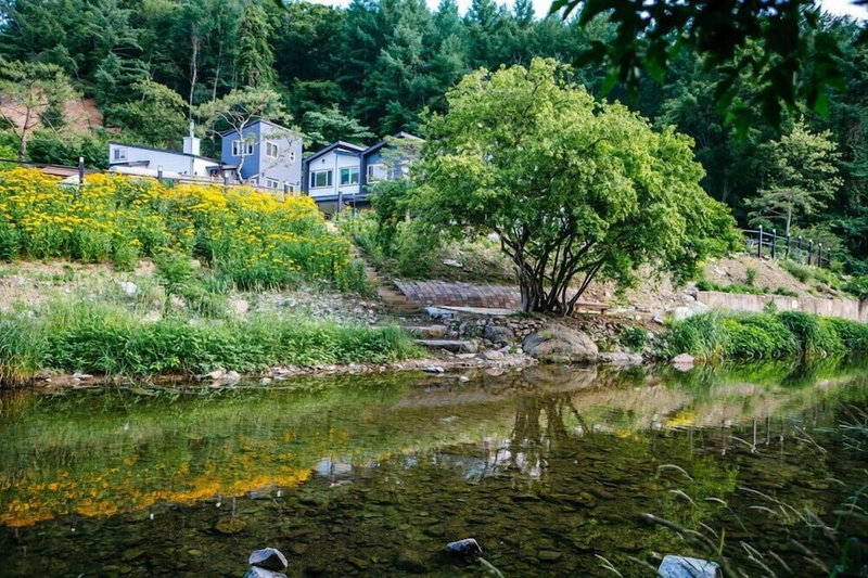 Rosedeil, Yangpyeong, South Korea
