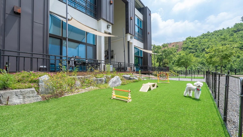 Gapyeong Chagall Spa Pension, Gapyeong, South Korea