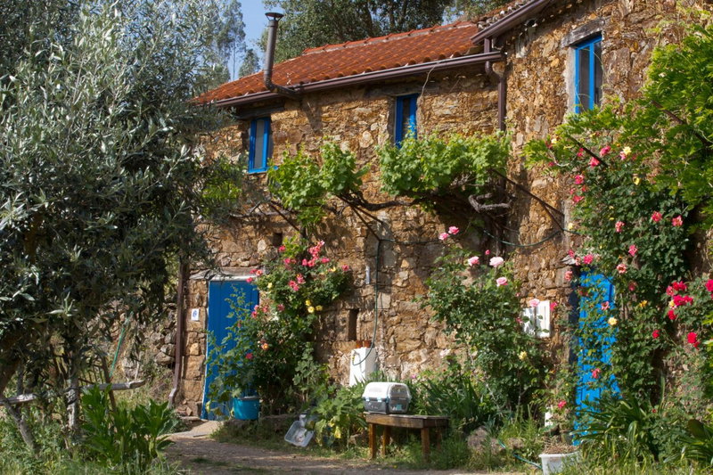 Guest Room Agro-turismo Quinta da Fonte Bed&Breakfast, Figueiró dos Vinhos, Portugal