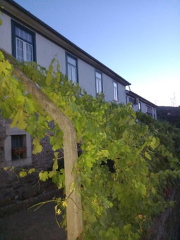 Quinta Casa Do Quintal, Lamego, Portugal