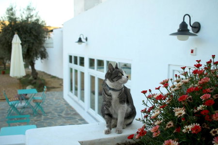 A Casa da Cerca, Almodôvar, Portugal