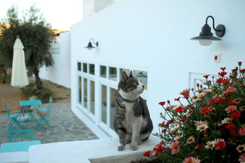 A Casa da Cerca, Almodôvar, Portugal