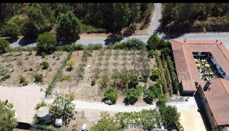 Quinta Penedo das Antas, Sertã, Portugal