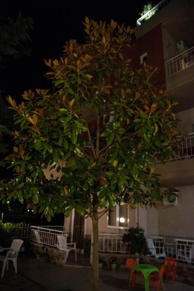 Afroditi Hotel, Paralia Katerinis, Greece