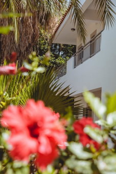 Iphigenia Mythic Retreat, Hersonissos, Greece