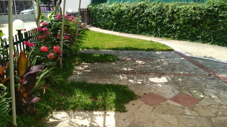 Gogo's - Γωγώ Rooms & Studios, Nydri, Greece
