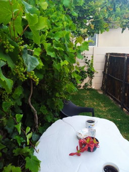 The Pool Cottage, Fish hoek, South Africa