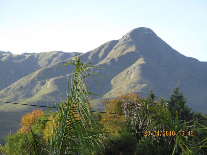 15 Witpeer Street Guesthouse, George, South Africa