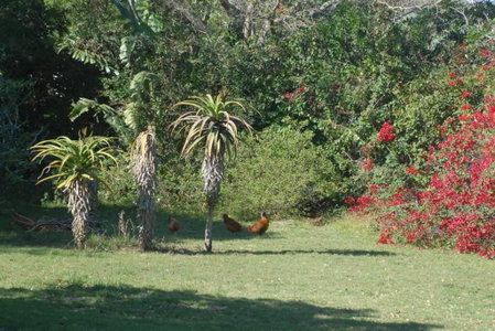The Homestead - Simple Farm-Style Accommodation, Port Alfred, South Africa
