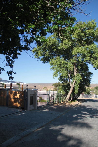 The Vine, Klawer, South Africa