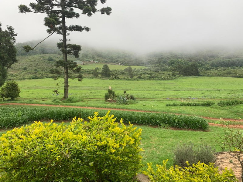 Rondebossie Farm Retreat, Magoebaskloof, South Africa