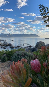 Bosky Dell on Boulders Beach, Simonʼs Town, South Africa