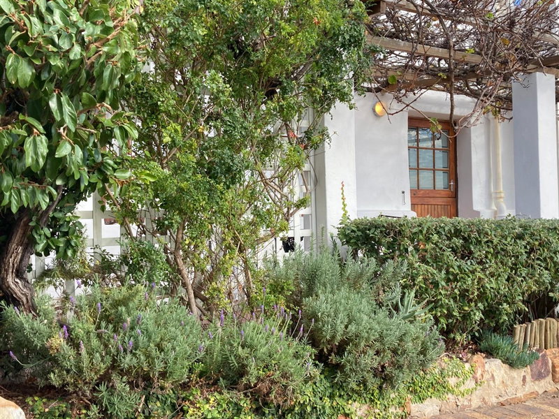 Bosky Dell on Boulders Beach, Simonʼs Town, South Africa