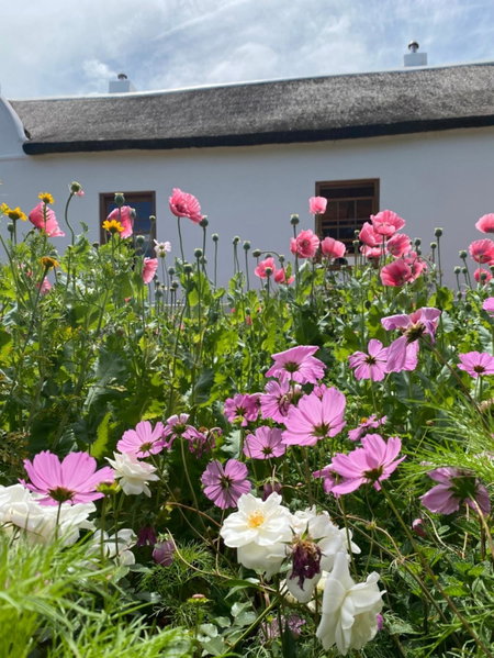 Zeekoegat Historical Homestead, Riversdale, South Africa