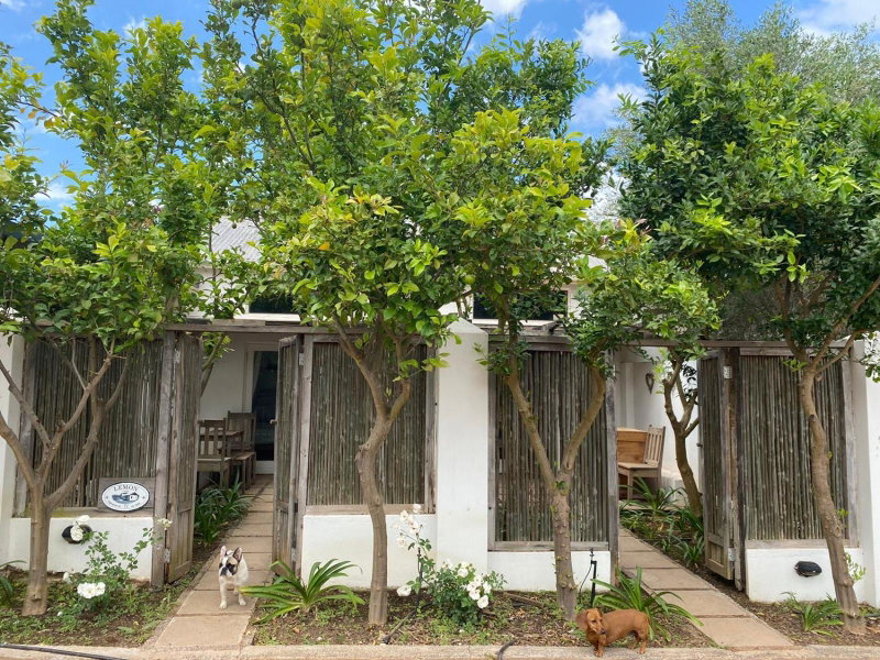 Galileo Farm, Elgin, South Africa