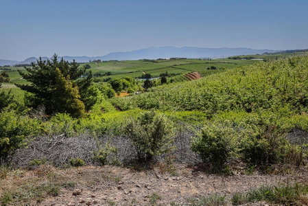 Galileo Farm, Elgin, South Africa