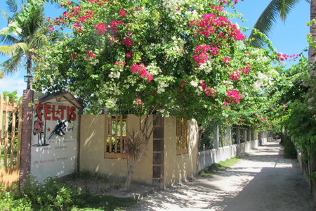 Celtis Resort, Malapascua Island, Philippines