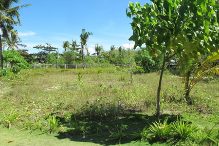 Celtis Resort, Malapascua Island, Philippines