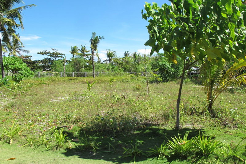 Celtis Resort, Malapascua Island, Philippines