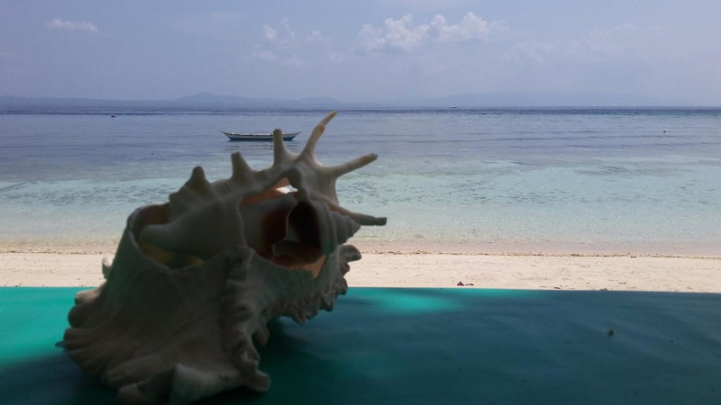 Shirley's Cottage - Pamilacan Island, Pamilacan, Philippines