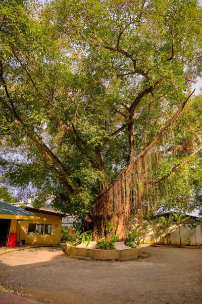 Hidden Hill Hotel, Mactan, Philippines