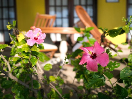 Las Flores Beachside Hotel, Catmon, Philippines