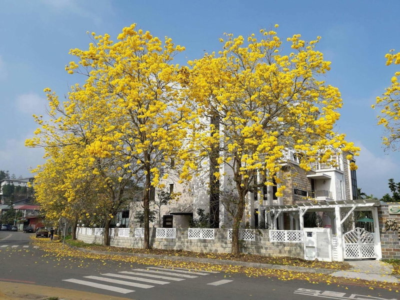 Smile Ark Homestay, Yuchi, Taiwan