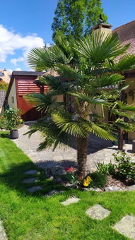 Guest House La Sereine, Romanel, Switzerland