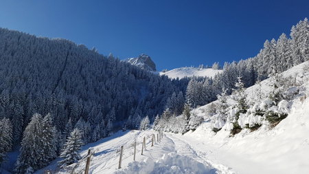 Charming chalet with panoramic view and private parking in Gruyère, Gruyères, Switzerland