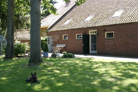 't Ossenschot, Ter Apel, The Netherlands