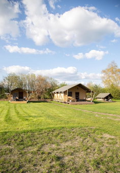 Safaritent Lodge 2 plus, Ruurlo, The Netherlands