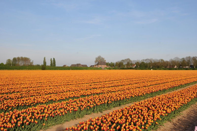 De Smidse, Lobith, The Netherlands