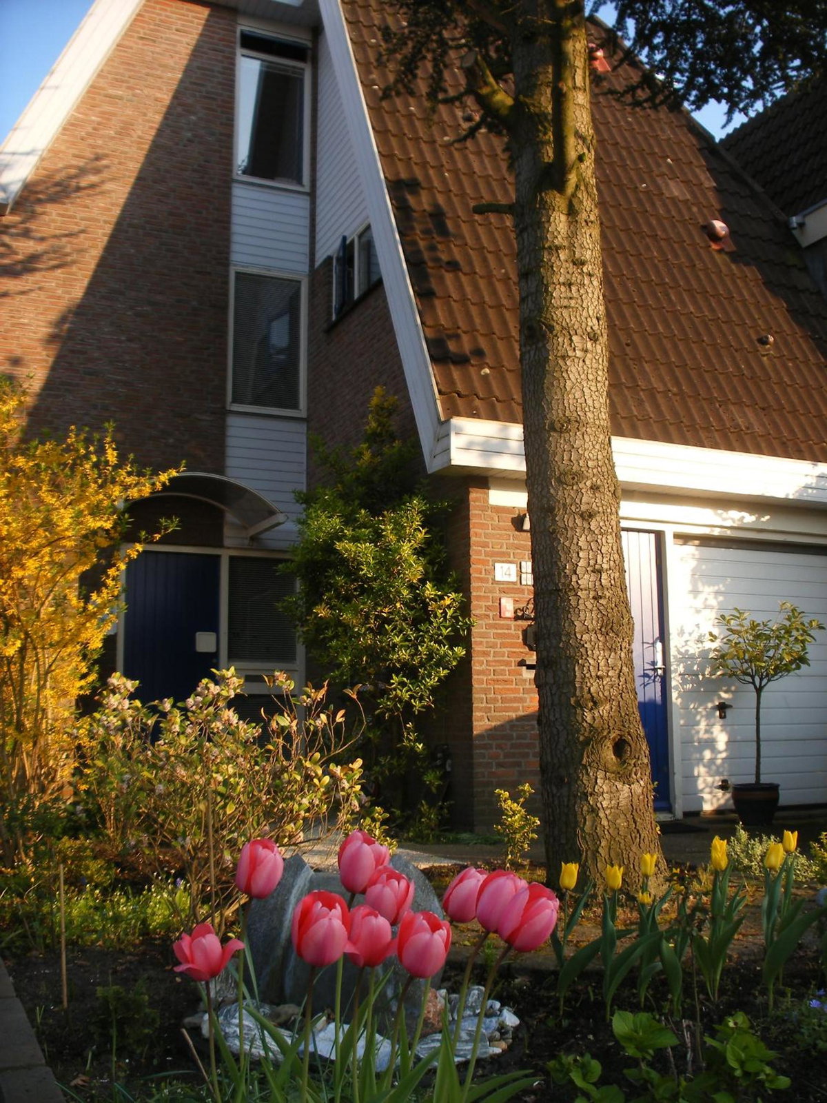 B&B-Edam, The Netherlands