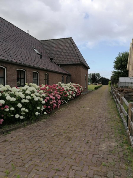 B&B d'n Uilenhof Haren, Haren, The Netherlands