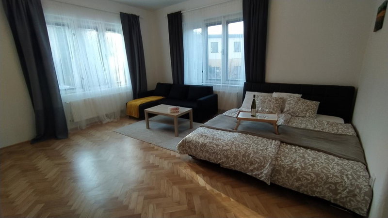 Vila Šik, Nové Město na Moravě, Czechia