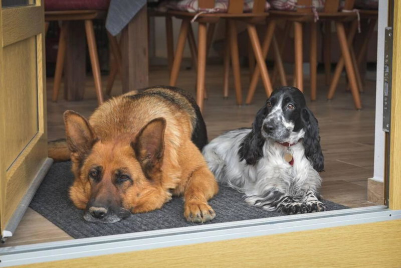 Útulný domek v zahradě v Unhošti nedaleko letiště, Unhošť, Czechia