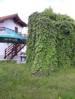 Penzion a restaurace U Strnada, Klatovy, Czechia