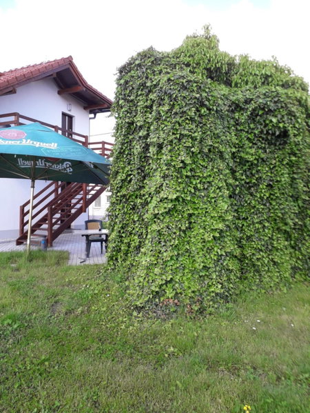 Penzion a restaurace U Strnada, Klatovy, Czechia