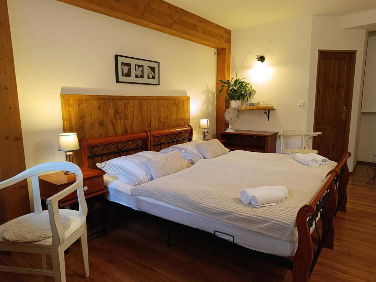 Hotel · Penzion V Podzámčí Litomyšl, Litomyšl
