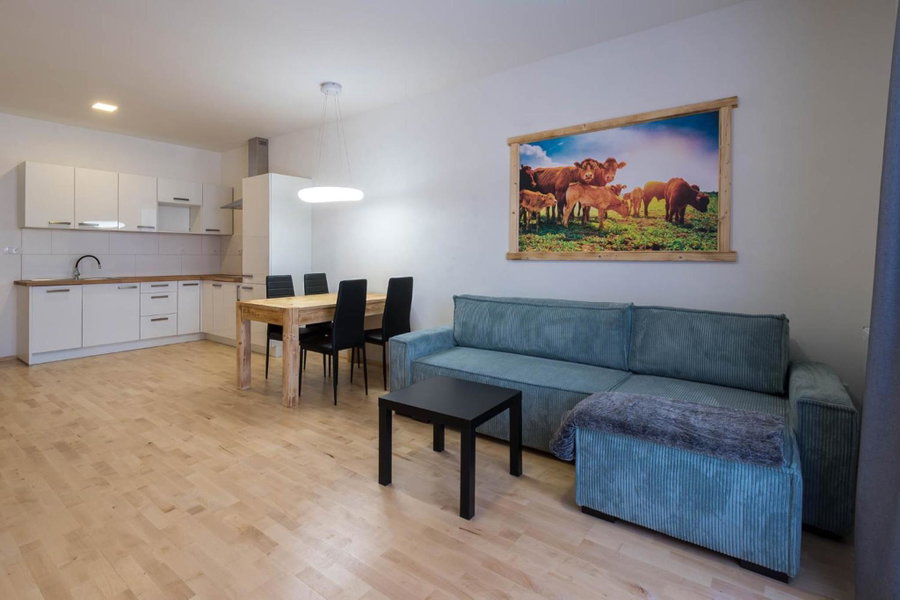 Apartmány Family aréna, Benecko, Czechia