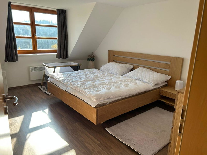 Horský apartmán U Lesa Říčky, Říčky, Czechia