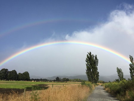 Ivy's Cottage, Greytown, New Zealand