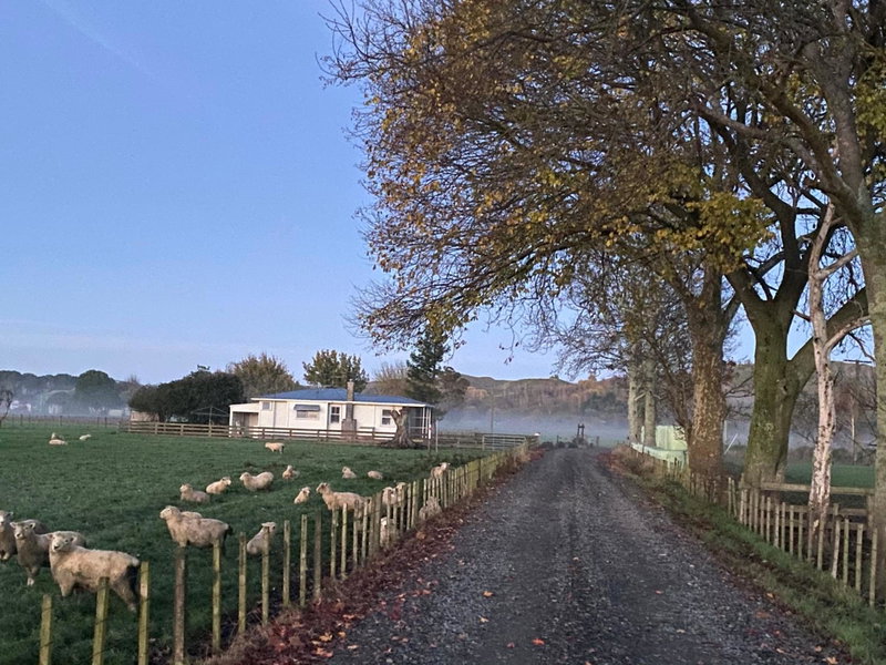 The Cottage @ Aranui, Wairoa, New Zealand