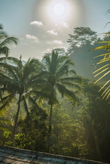 Kanva Ubud, Tegalalang, Indonesia