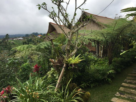 Lembah Cinta Mayungan, Baturiti, Indonesia
