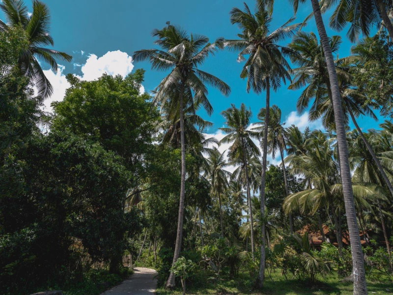 Bahari Villa Tejakula, Tejakula, Indonesia