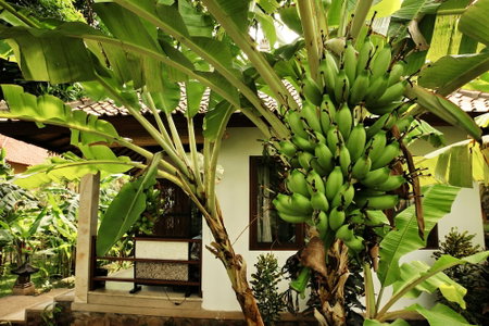 Bali Dream House, Karangasem, Indonesia